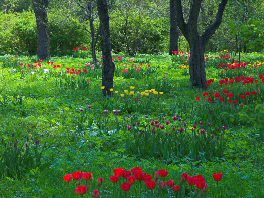 42602 (a): :1600x1200
